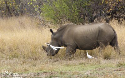 Kyle Recreational Park_0075