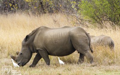 Kyle Recreational Park_0076