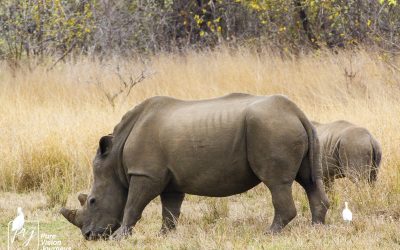 Kyle Recreational Park_0077