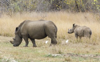 Kyle Recreational Park_0078