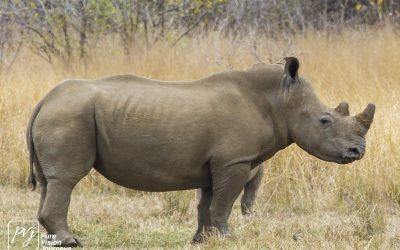 Kyle Recreational Park_0079