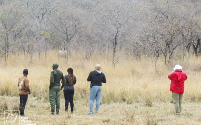 Kyle Recreational Park_0080