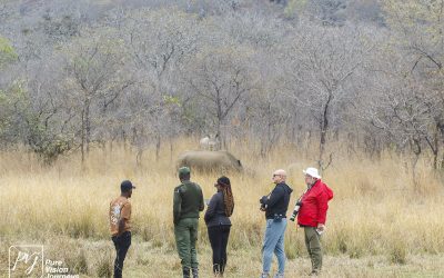 Kyle Recreational Park_0082