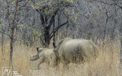 Kyle Recreational Park_0084