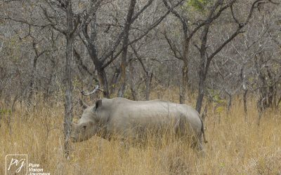 Kyle Recreational Park_0085