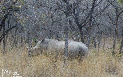 Kyle Recreational Park_0086