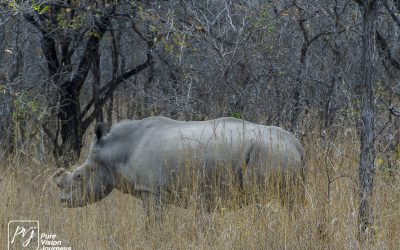 Kyle Recreational Park_0087