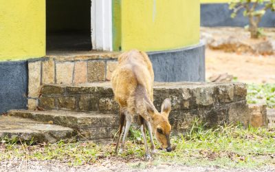 Kyle Recreational Park_0088