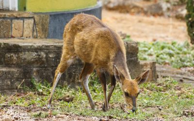 Kyle Recreational Park_0090