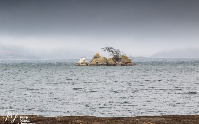 Kyle Recreational Park_0092