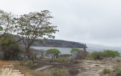 Kyle Recreational Park_0096