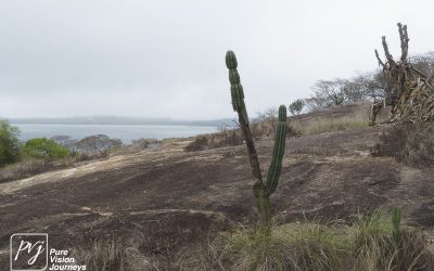 Kyle Recreational Park_0097