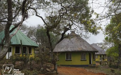 Kyle Recreational Park_0100