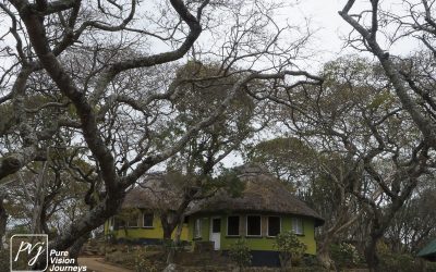 Kyle Recreational Park_0101