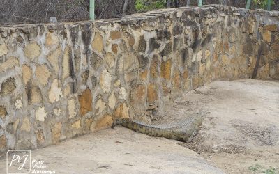 Kyle Recreational Park_0111