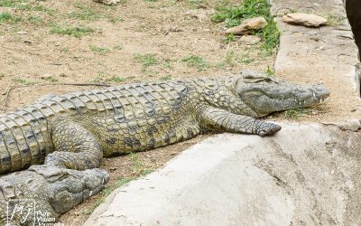 Kyle Recreational Park_0112