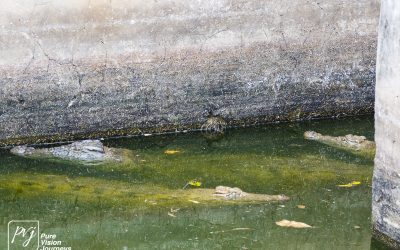 Kyle Recreational Park_0115