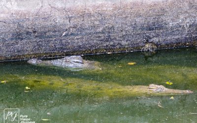 Kyle Recreational Park_0116