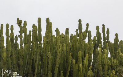 Kyle Recreational Park_0118