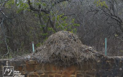 Kyle Recreational Park_0119