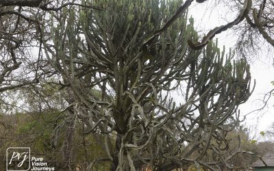 Kyle Recreational Park_0120