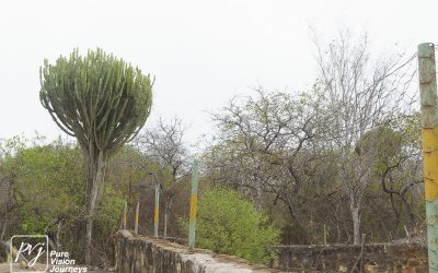 Kyle Recreational Park_0124