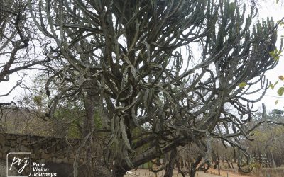 Kyle Recreational Park_0125