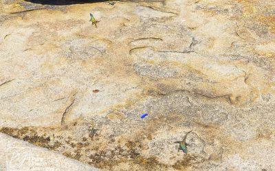 Matobo Hills - Cecil Rhodes Grave_0026