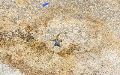 Matobo Hills - Cecil Rhodes Grave_0027