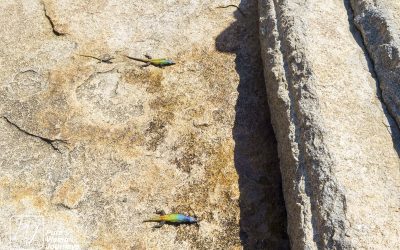 Matobo Hills - Cecil Rhodes Grave_0032