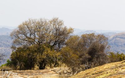 Matobo Hills - Cecil Rhodes Grave_0045