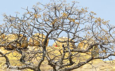 Matobo National Park_0021