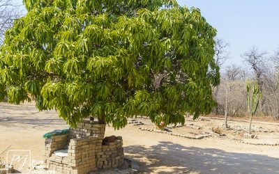 Save Valley Conservancy:_0002