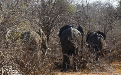 Save Valley Conservancy:_0007