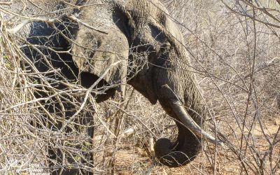 Save Valley Conservancy:_0012