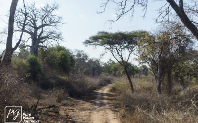 Save Valley Conservancy:_0021