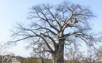 Save Valley Conservancy:_0026