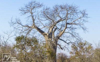 Save Valley Conservancy:_0028