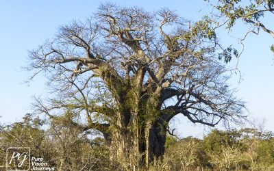 Save Valley Conservancy:_0029