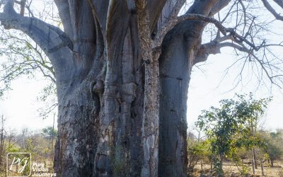 Save Valley Conservancy:_0031