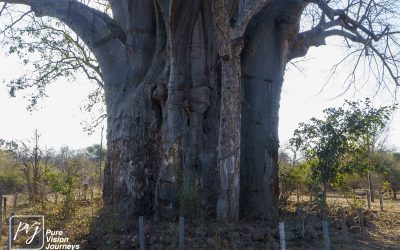 Save Valley Conservancy:_0033