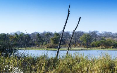 Save Valley Conservancy:_0036