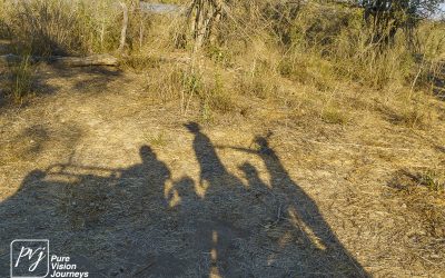 Save Valley Conservancy:_0037