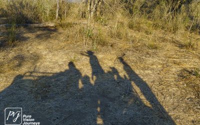 Save Valley Conservancy:_0038