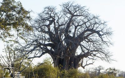 Save Valley Conservancy:_0040