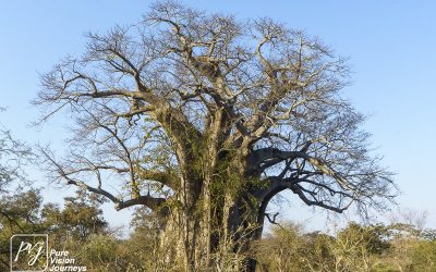 Save Valley Conservancy:_0042