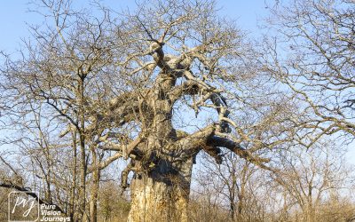 Save Valley Conservancy:_0044