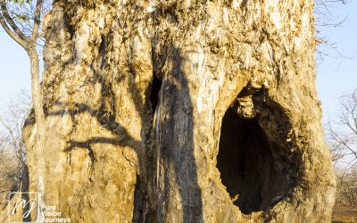 Save Valley Conservancy:_0046