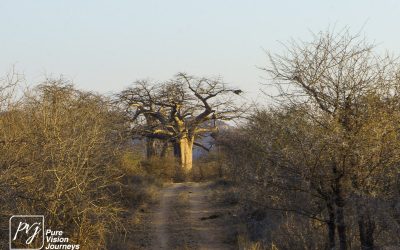 Save Valley Conservancy:_0048