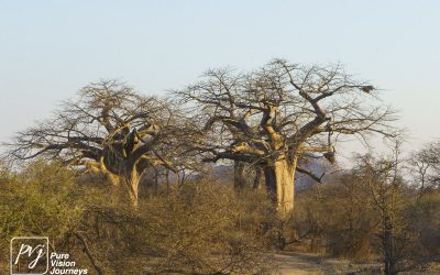 Save Valley Conservancy:_0049